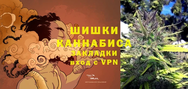 герыч Мегион