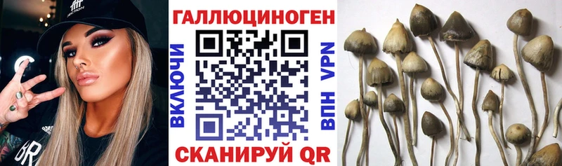 магазин продажи наркотиков  Бахчисарай  Псилоцибиновые грибы прущие грибы 