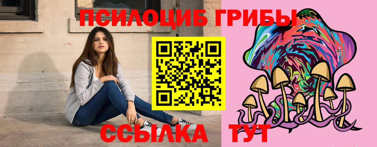 Галлюциногенные грибы мухоморы  Бахчисарай  Галлюциногенные грибы Psilocybe 