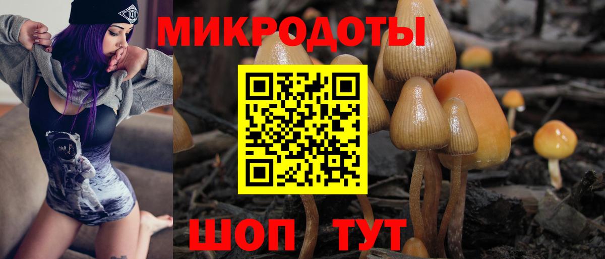 Галлюциногенные грибы Cubensis Бахчисарай